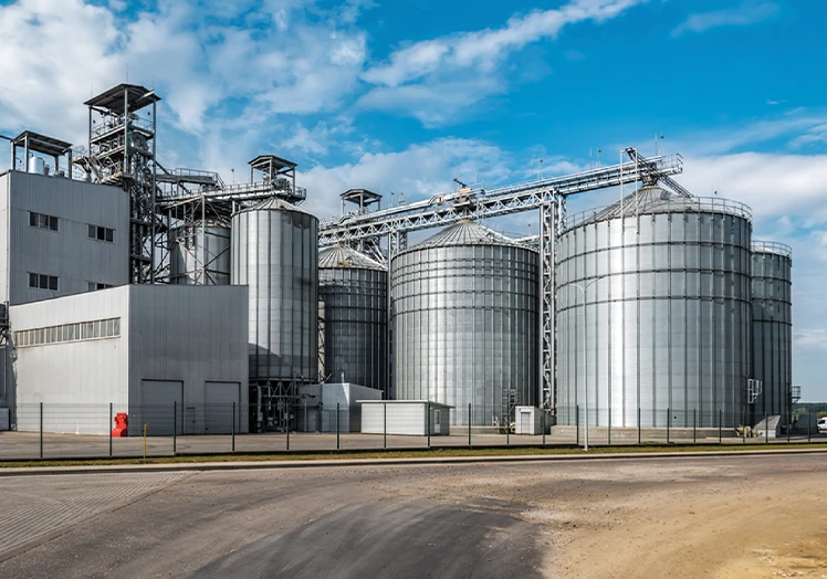 FIELD AND STORAGE SILOS(2019-2020) 1