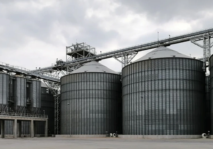 FIELD AND STORAGE SILOS(2019-2020) 2